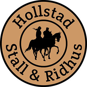 Hollstad logo